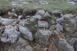 DSC1 (161).jpg